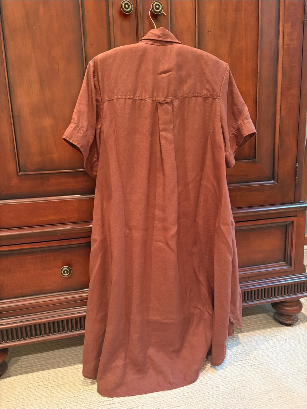 NWOT Everlane The Daytripper Dress in Linen - Cedarwood Size Medium - Picture 8 of 8